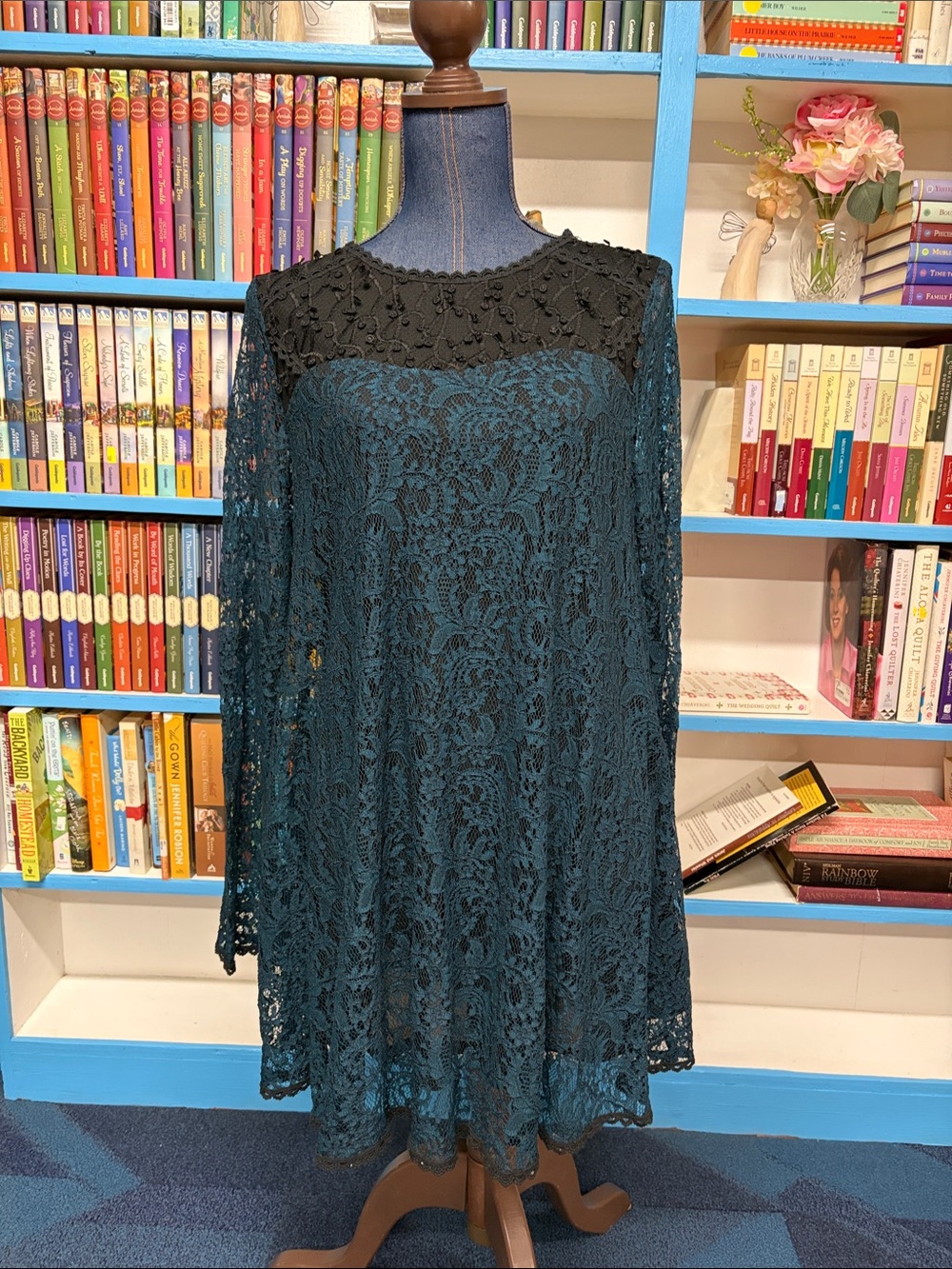 The pyramid collection whimsigoth lace dress size xs